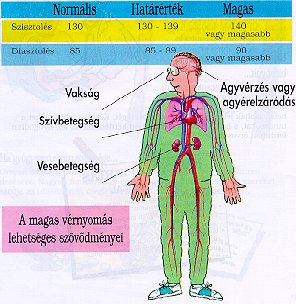 A gondolkodási tevékenységekre is hatással lehet a magas vérnyomás