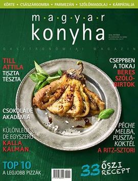magas vérnyomásban szenvedő villanyszerelő)