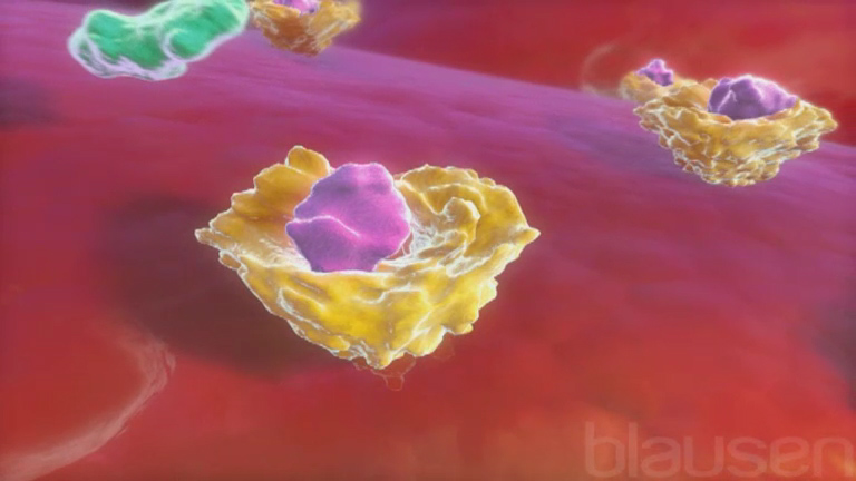 Milyen adrenerg blokkolókat írtak fel a magas vérnyomásért - Vasculitis November