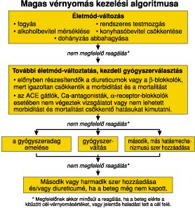 magas vérnyomás morbiditás)