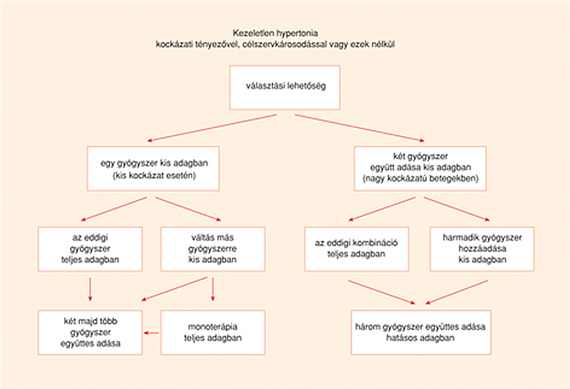 hogy magyarul a hipertónia