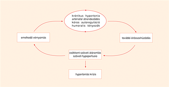 2 vagy 3-nál nagyobb fokozat magas vérnyomásban)