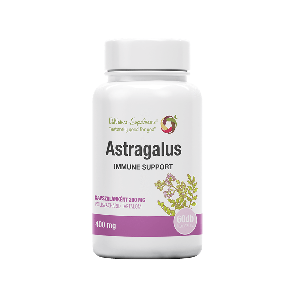 ASTRAGALUS, az életerő forrása