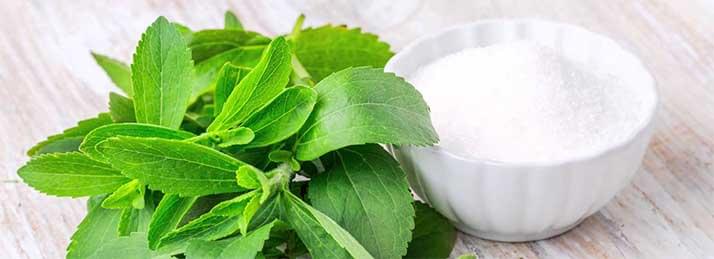 magas vérnyomás és stevia