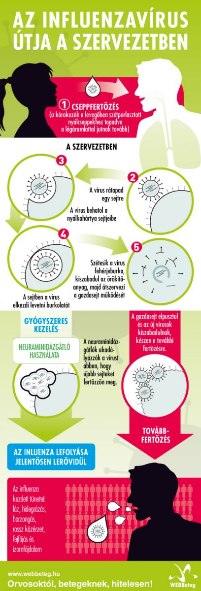 hogyan kell kezelni a megfázást ha magas vérnyomása van)