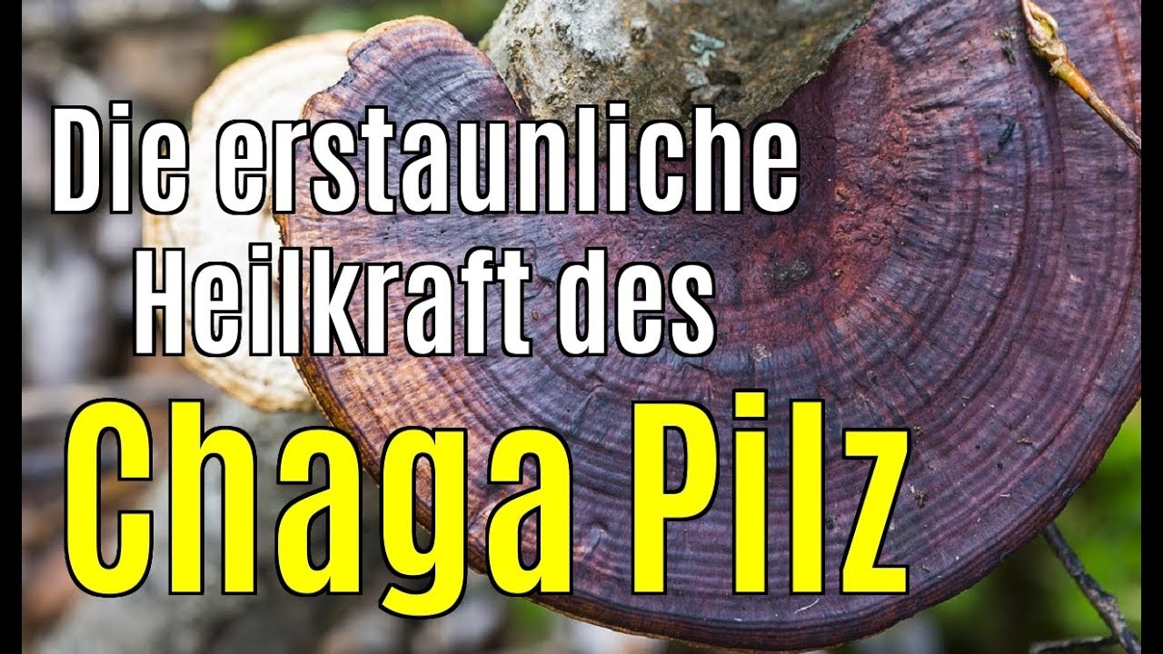 a magas vérnyomás kezelésére vonatkozó nemzetközi szabvány vegetatív vaszkuláris dystonia vagy magas vérnyomás