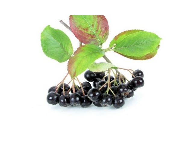 aronia magas vérnyomás)