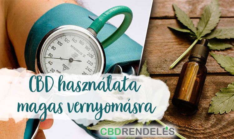 hipertónia állatokban